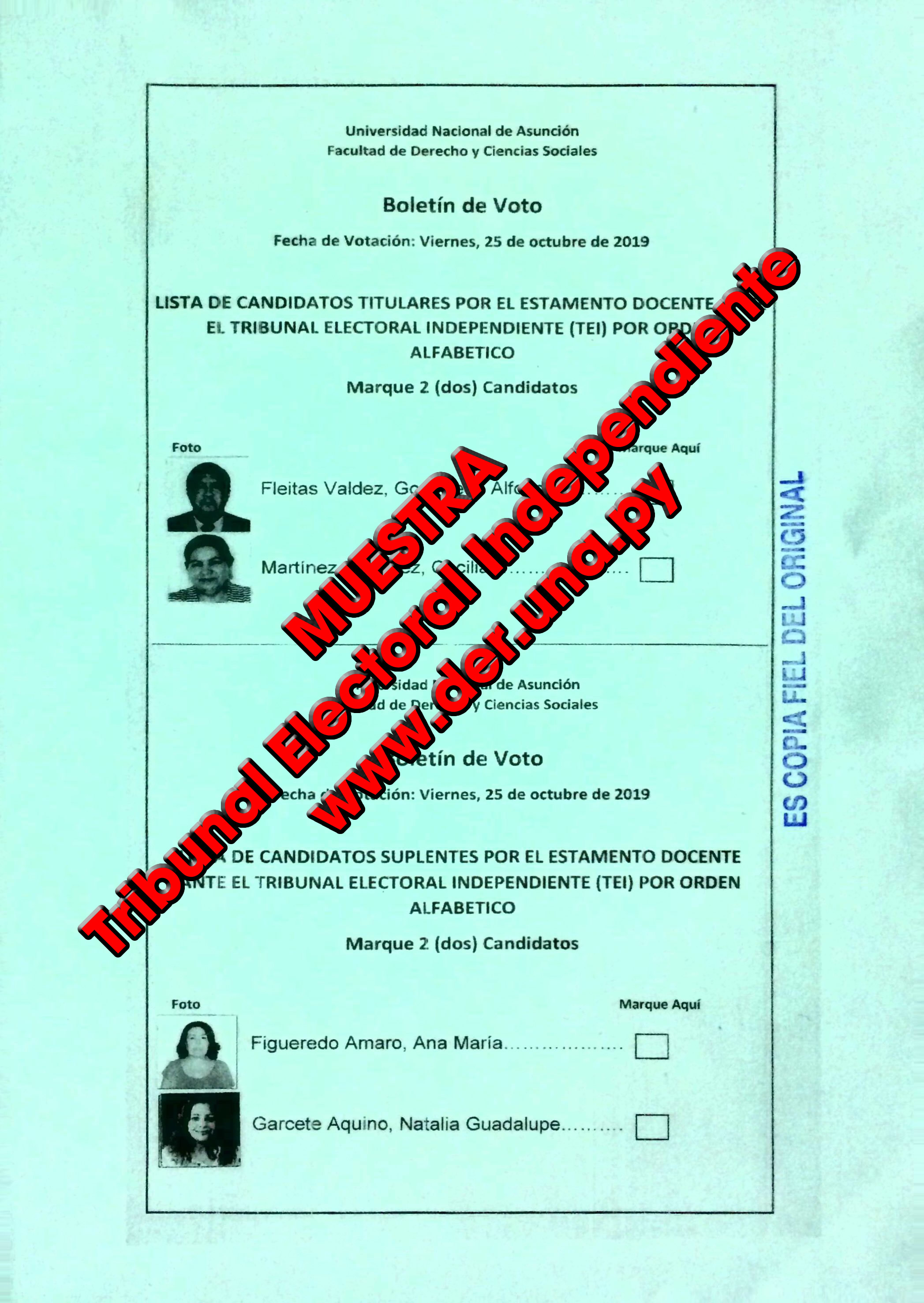 Papeletas-Elecciones_docentes-4-muestra.jpg
