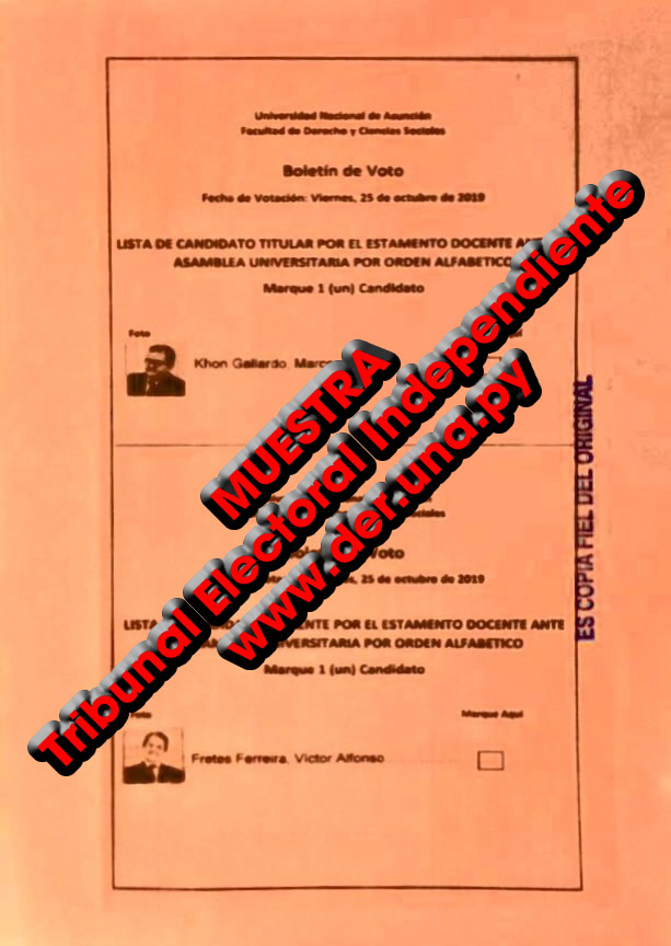 Papeletas-Elecciones_docentes-5-muestra.jpg