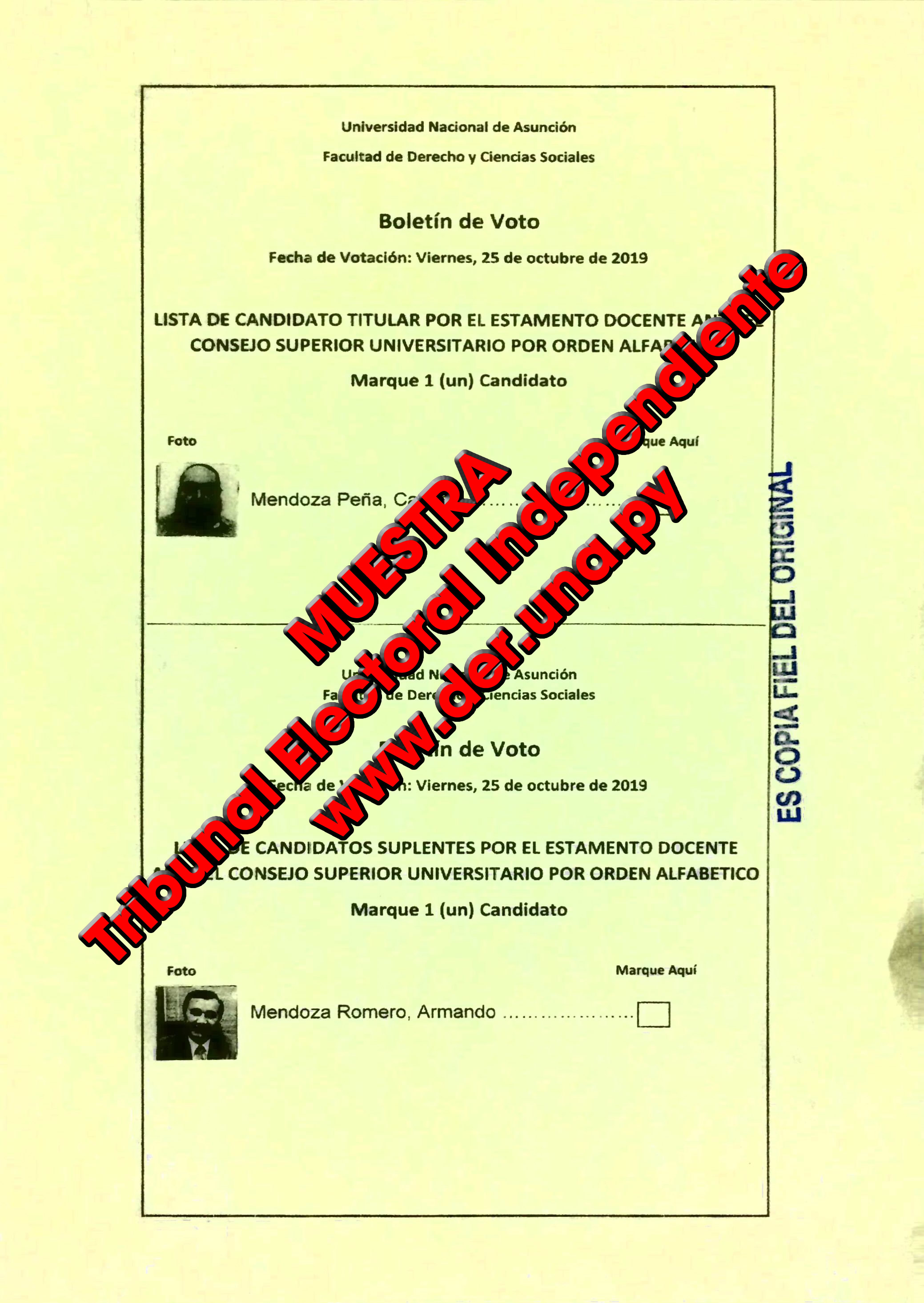 Papeletas-Elecciones_docentes-3-muestra.jpg